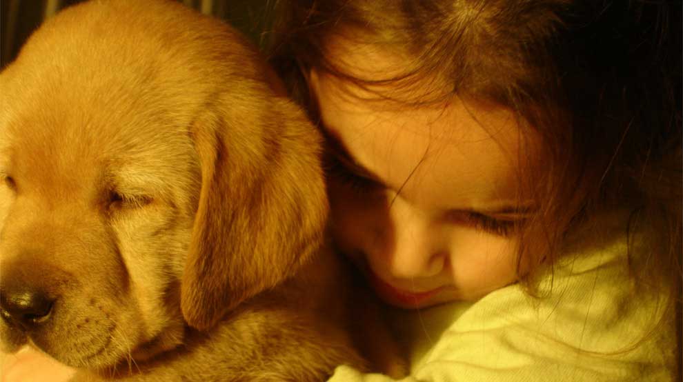 Puppy Training Program