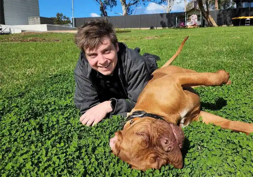 Callum Anderson Dog Training Perth West