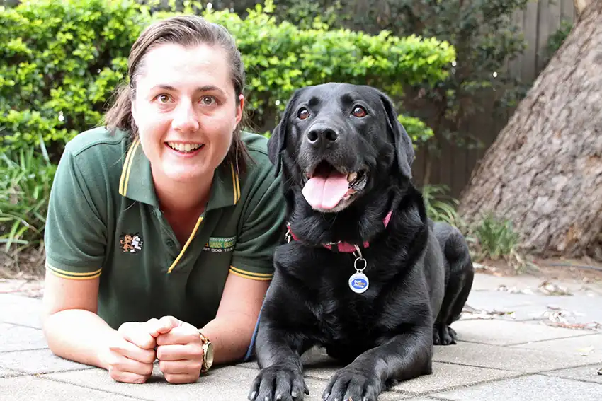 Home Dog Training Bunbury