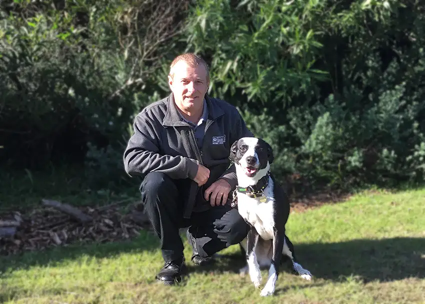 Home dog training Central Coast