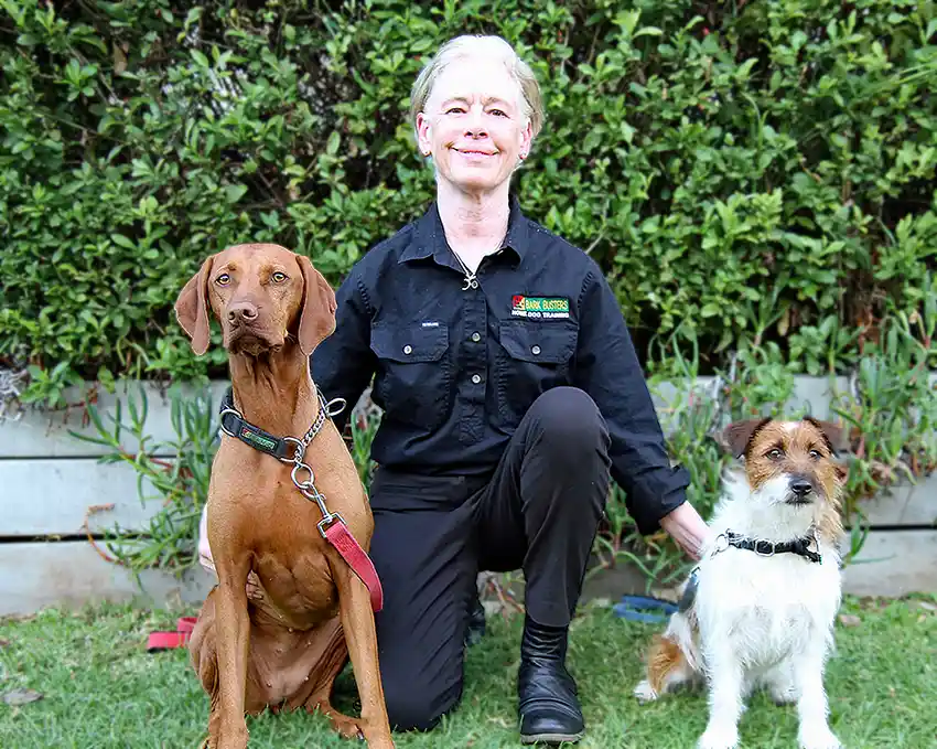Home dog training Shoalhaven & Eurobodalla