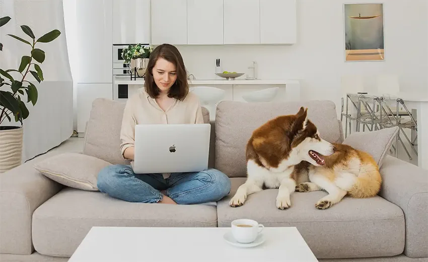 Dog training Toowoomba